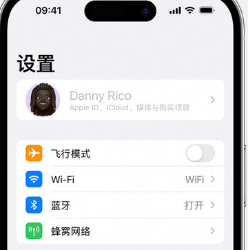 平度appleID维修服务iPhone设置中Apple ID显示为灰色无法使用 