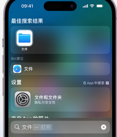 平度apple维修中心分享iPhone文件应用中存储和找到下载文件 