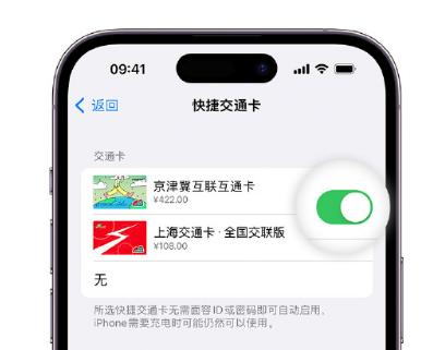 平度apple维修点分享iPhone上更换Apple Pay快捷交通卡手绘卡面 