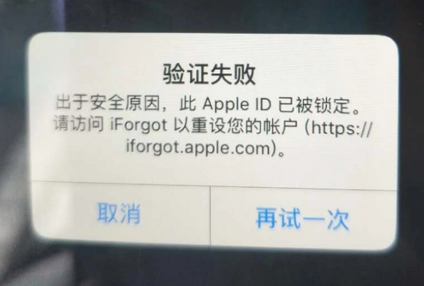 平度iPhone维修分享iPhone上正常登录或使用AppleID怎么办 