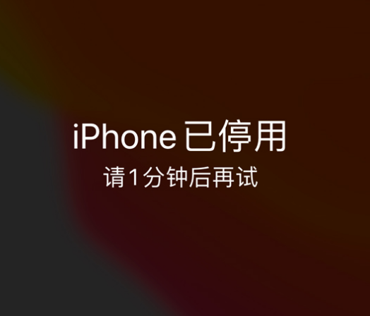 平度苹果手机维修分享:iPhone 显示“不可用”或“已停用”怎么办？还能保留数据吗？ 