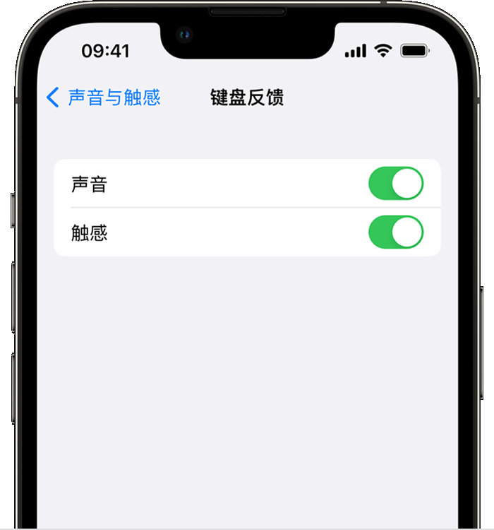 平度苹果14维修店分享如何在 iPhone 14 机型中使用触感键盘 