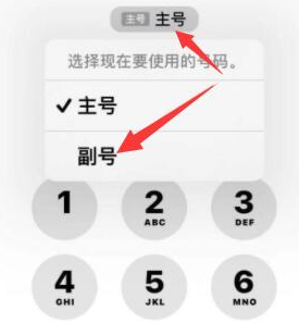 平度苹果14维修店分享iPhone 14 Pro Max使用副卡打电话的方法 