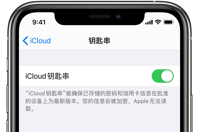 平度苹果手机维修分享在 iPhone 上开启 iCloud 钥匙串之后会储存哪些信息 