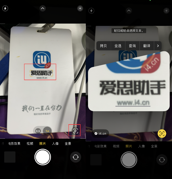 平度苹果手机维修分享升级iOS 16后如何通过相机翻译文本 
