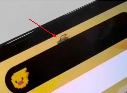 平度苹果14维修分享iPhone 14 Pro Max灵动岛怎么养宠物 