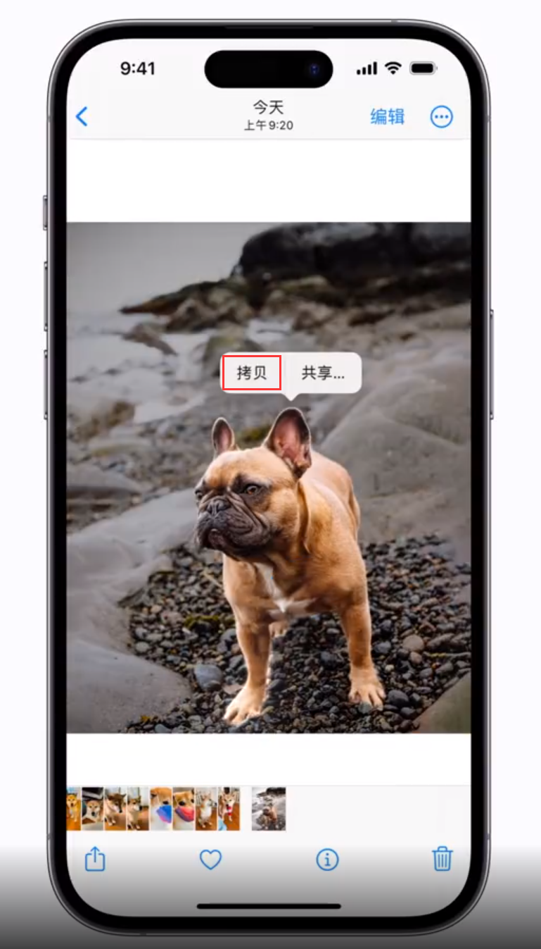 平度苹果手机维修分享 iOS 16 自带一键抠图功能 