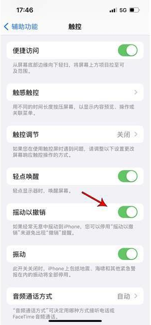 平度苹果手机维修分享iPhone手机如何设置摇一摇删除文字 