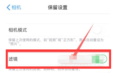 平度苹果13维修分享iPhone13拍照有绿点是怎么回事 