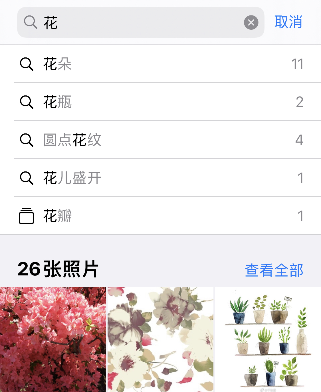 平度苹果手机维修分享iPhone 小技巧 