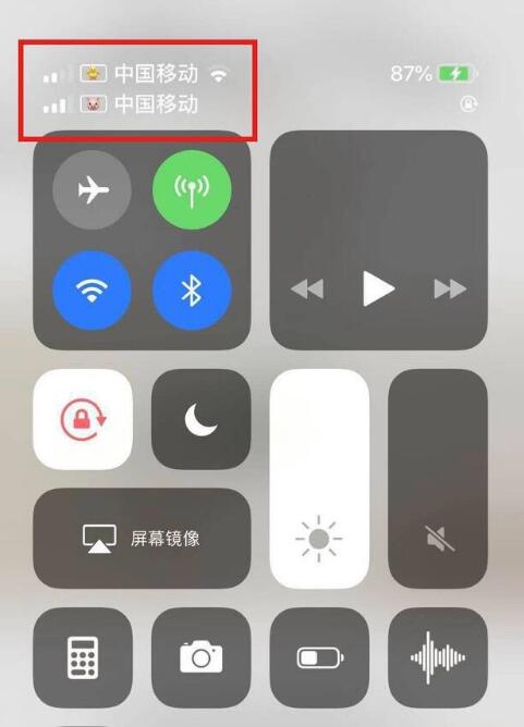 平度苹果手机维修分享为 iPhone 12 双卡设置标签 
